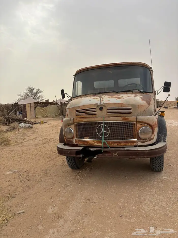 وايت حصنان جفالي المديل 1975 2