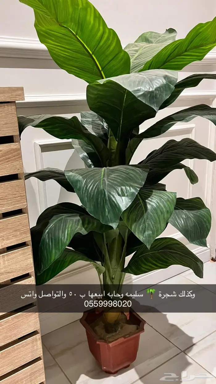 الموقع الارطاوية 1