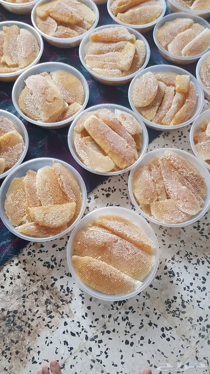 عسل صدر صافي وطلح وسمر 4