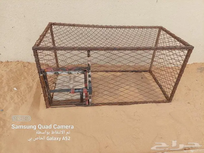 شبك طيور او دجاج للبيع 3