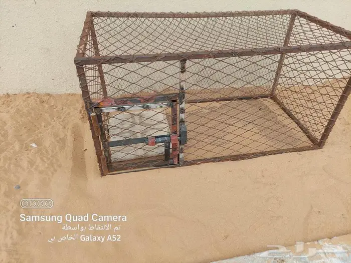 شبك طيور او دجاج للبيع 2