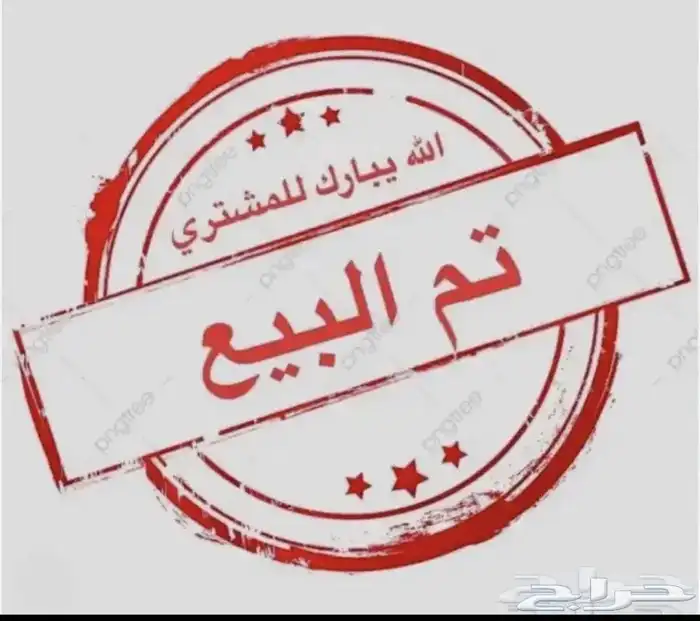 دجاج كوشن للبيع 0