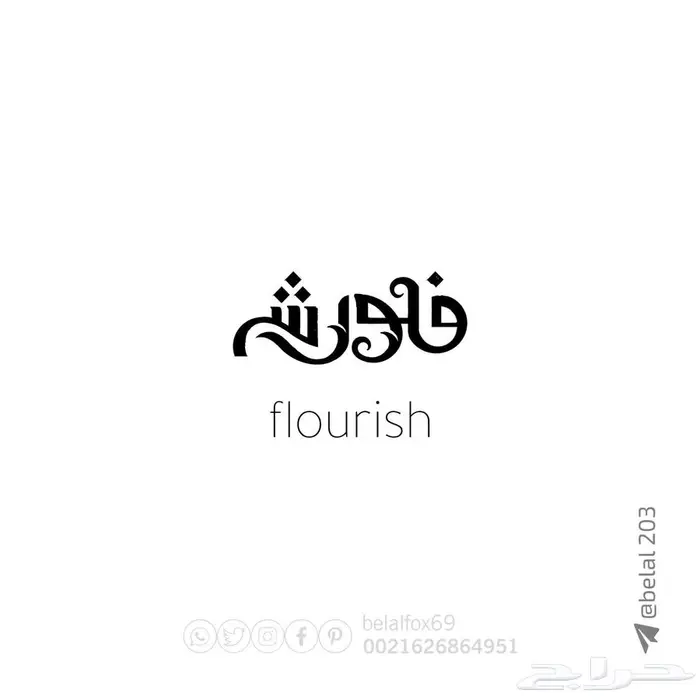 مصمم 44