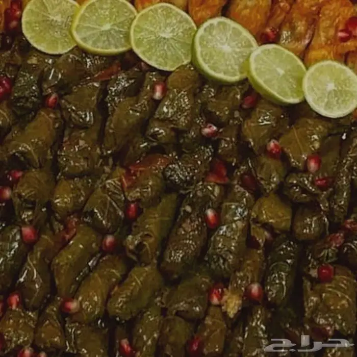 جملة الجمله لورق العنب 0