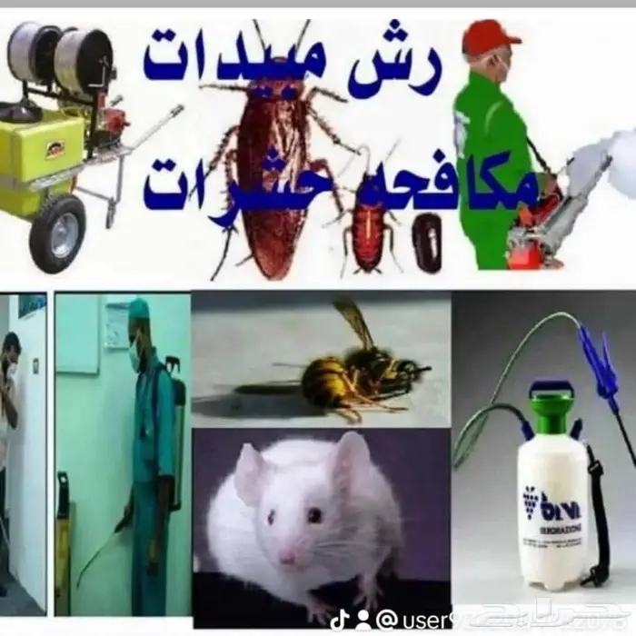 مكافحه حشرات 11
