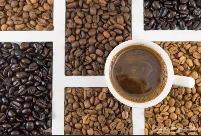 نورد قهوة مختصة بالجملة للكافيهات   بن أخضر بالجملة 0