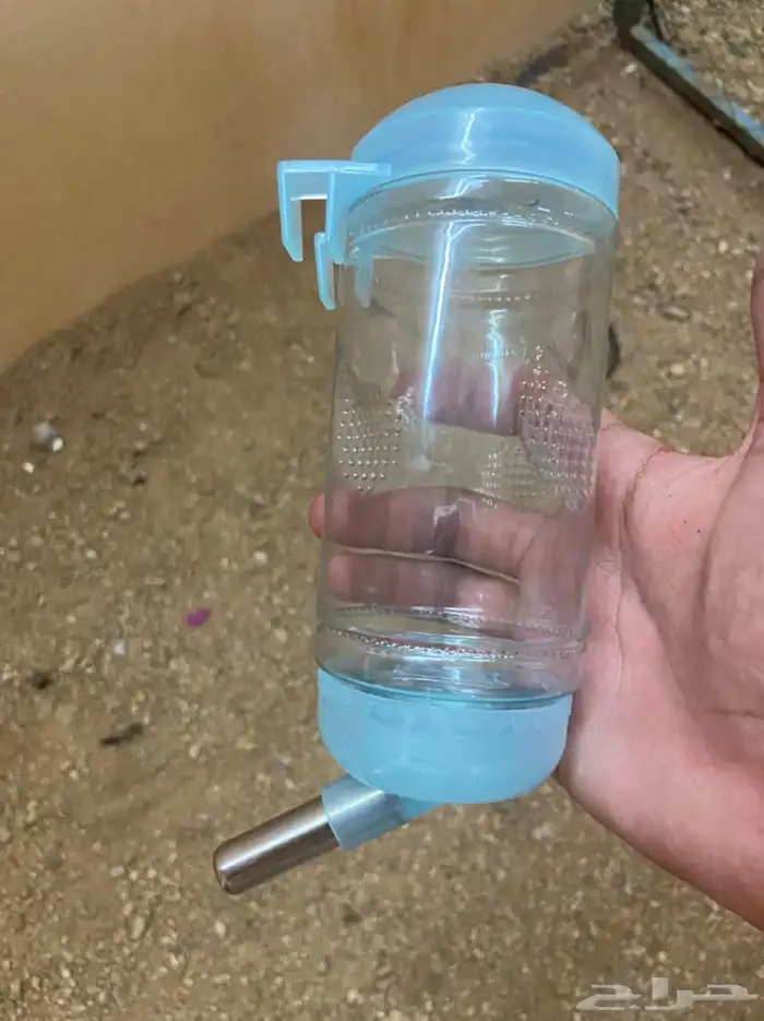 ارانب للبيع 10
