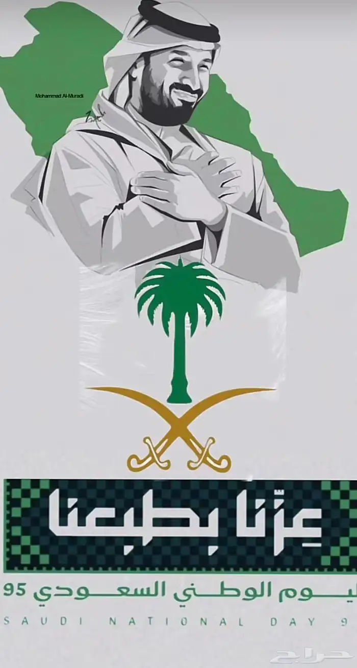 كشافات اليوم الوطني السعودي 95 0