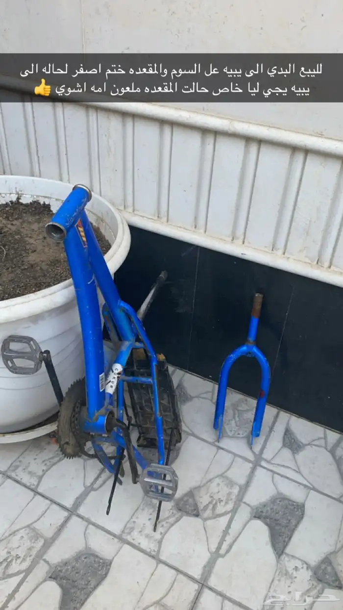 للبيع البدي لحاله والمقعده الختم الاصفر لحاله 0