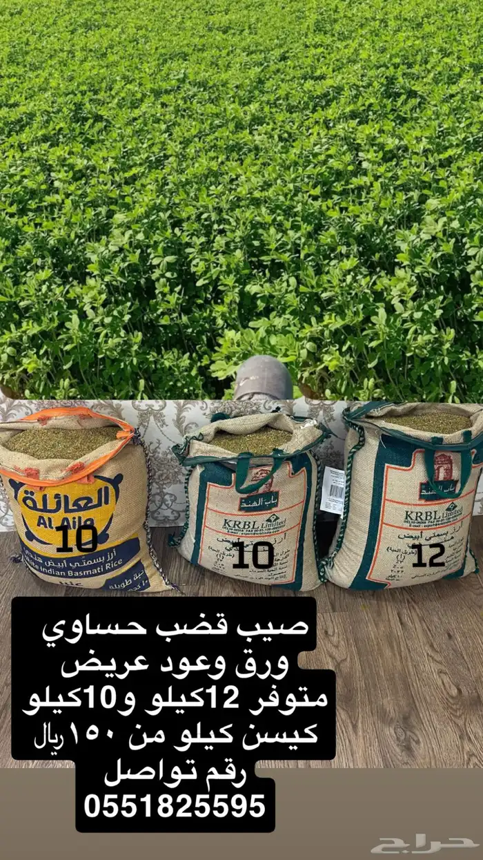 صيب ذري قصب سحاوي 0
