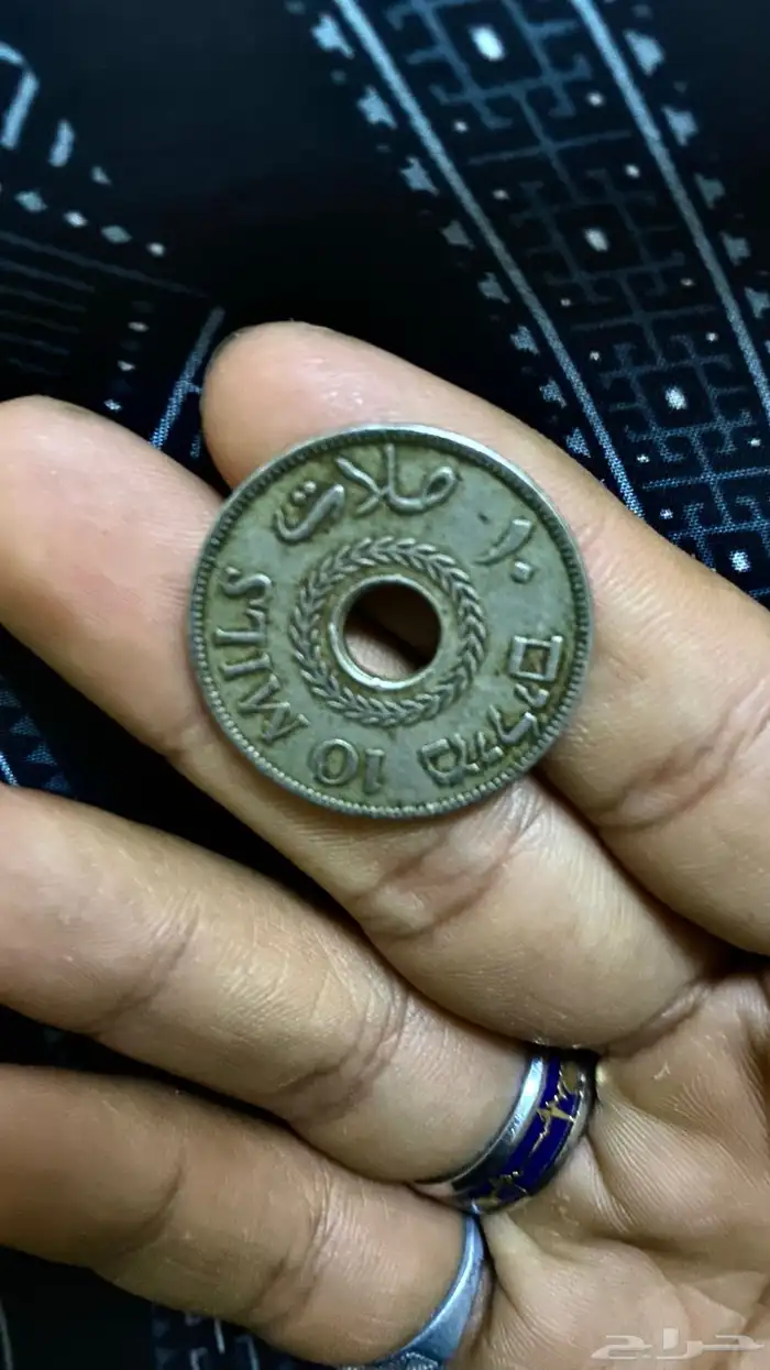 قرش فلسطين عمره فوق 80 سنه 0