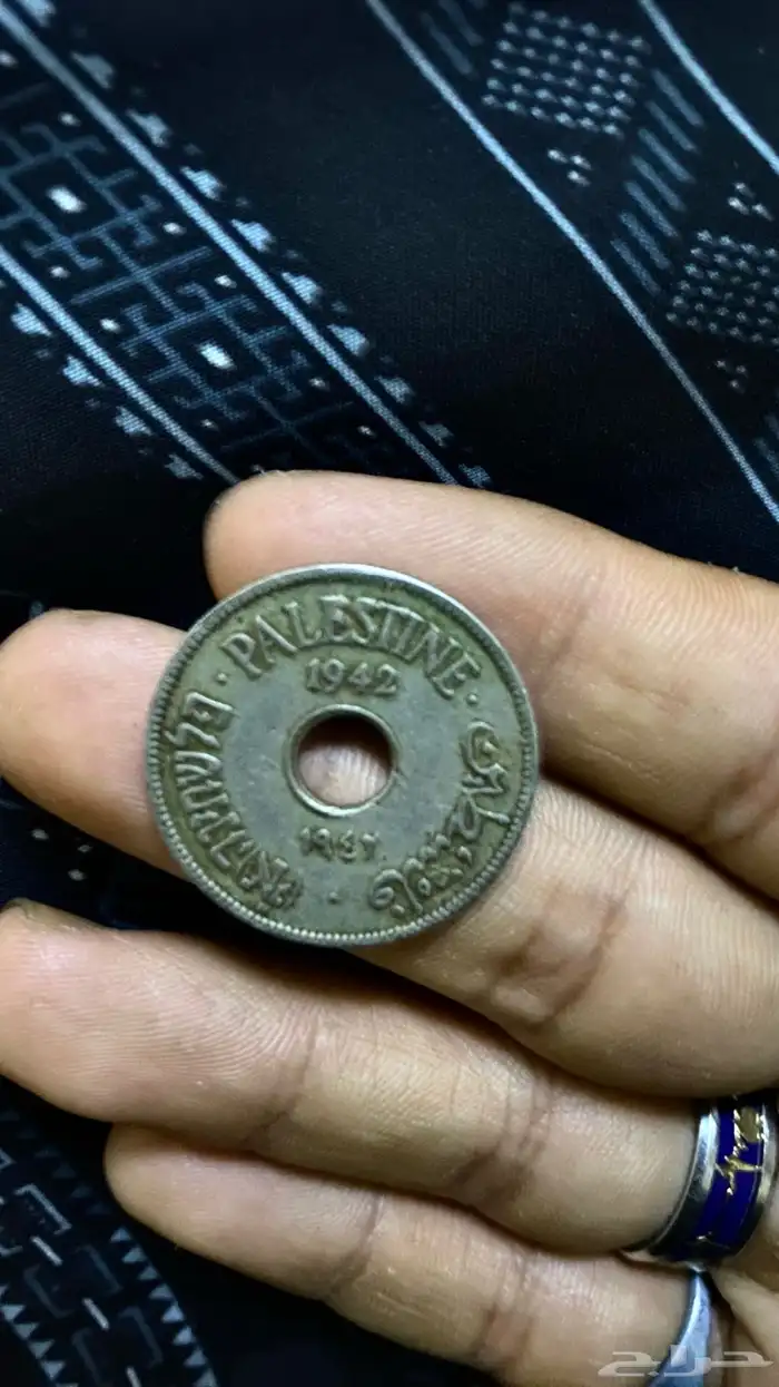 قرش فلسطين عمره فوق 80 سنه 2