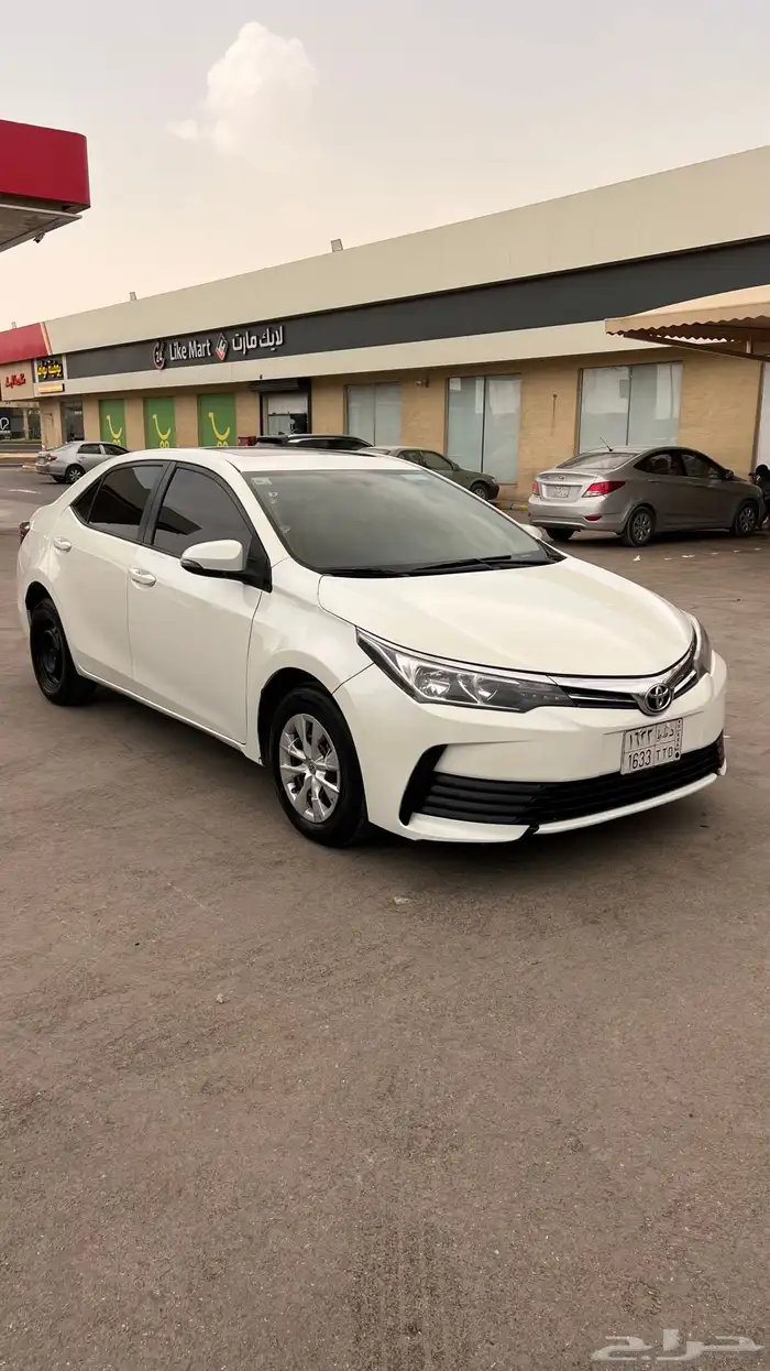 كورلاء مديل2019 مطور 19