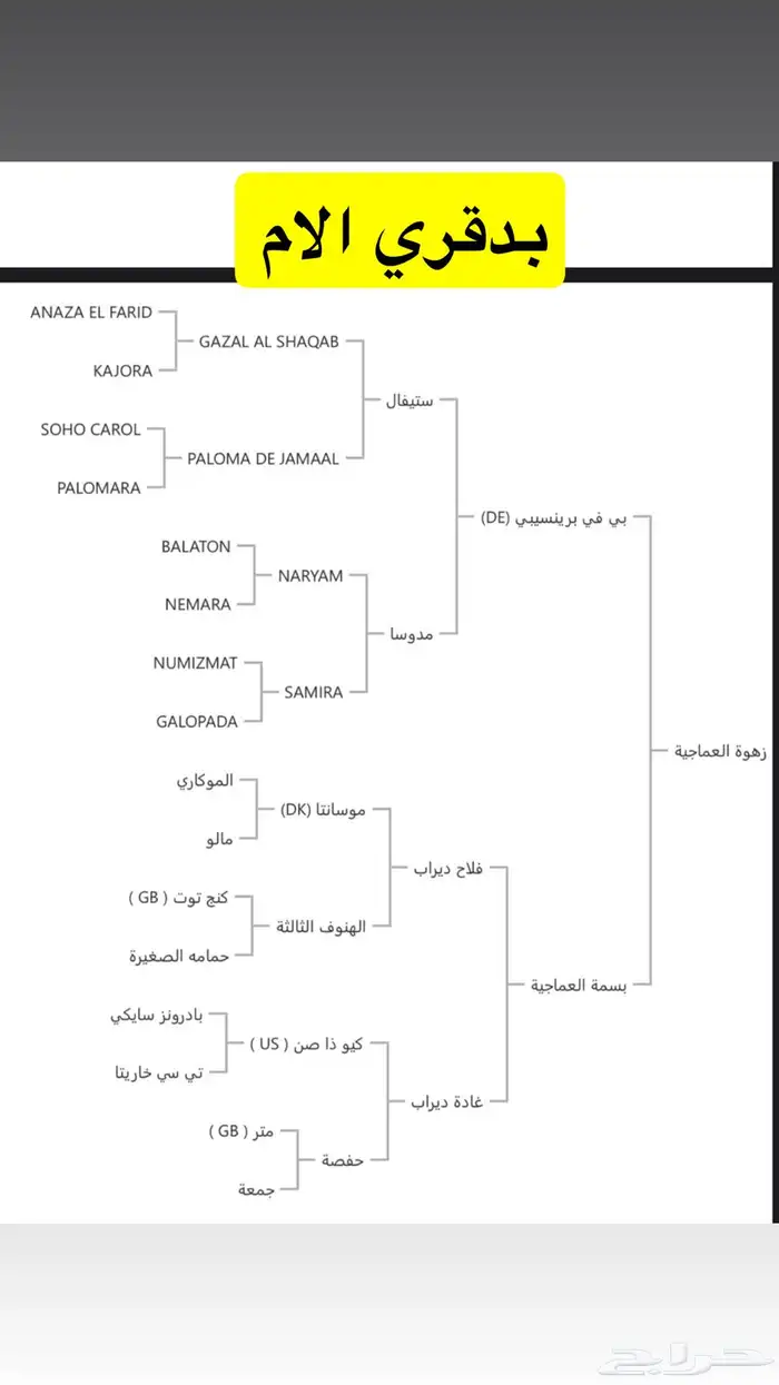 مهره واهو فاخره 4