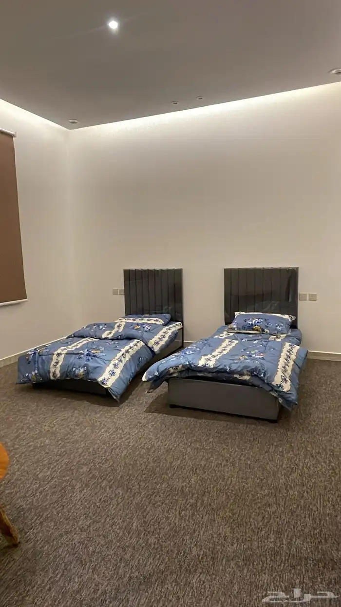 شقه جديده سنه دراسيه او بالشهر شامل المويه و الكهرب 11