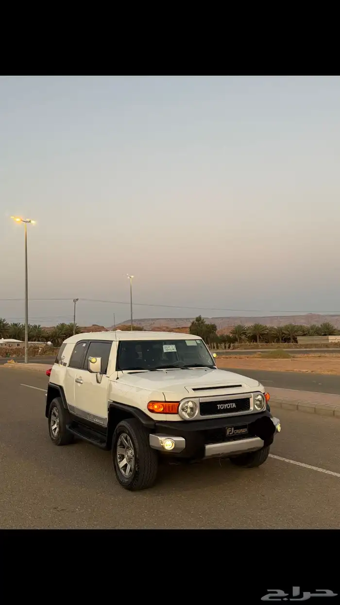 افجي 2013 0