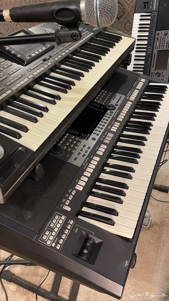 عازف أورق محترف لجميع الألوان خليجي شرقي دبكات 1