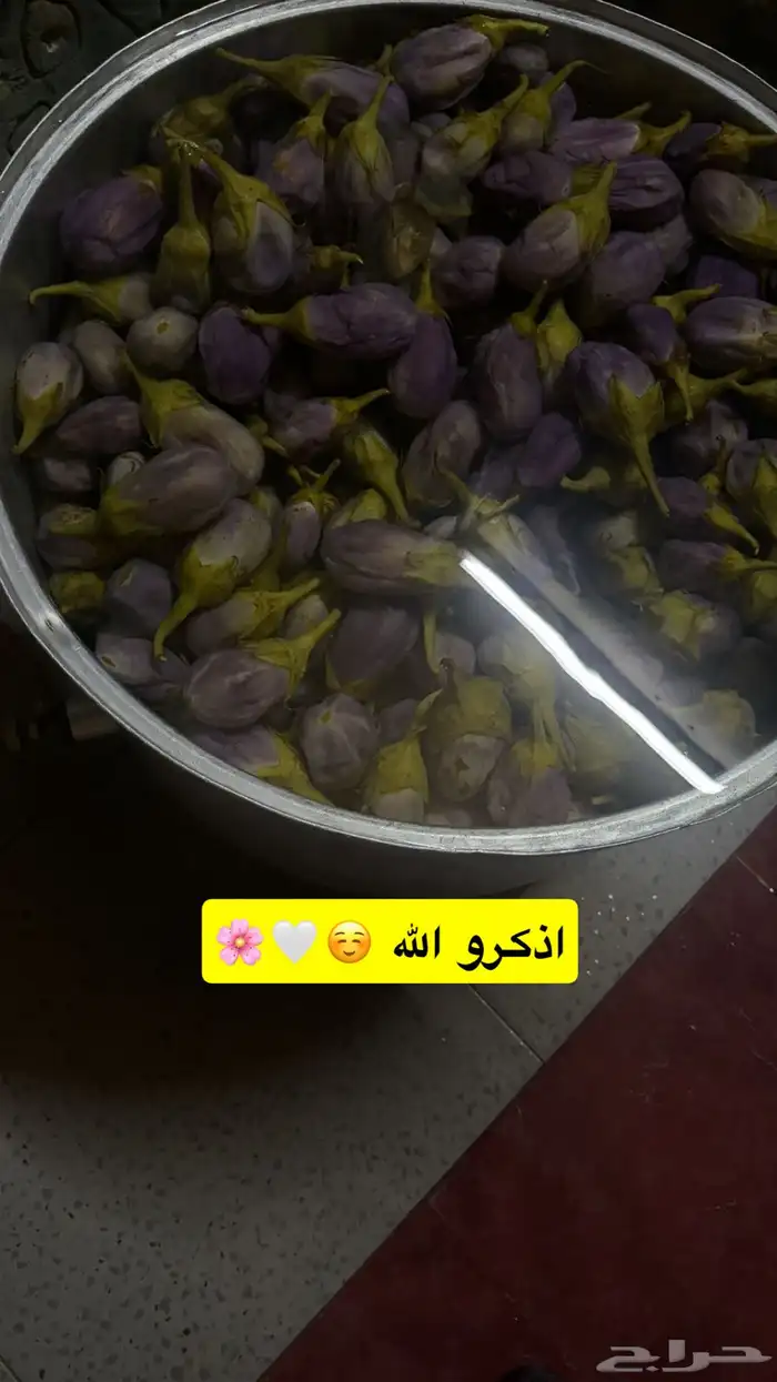 مكدوس فاخر عالاخر 7