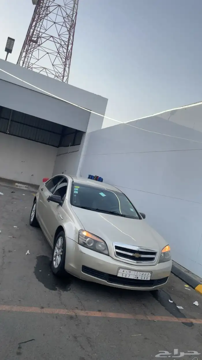 كابرس للبيع 2