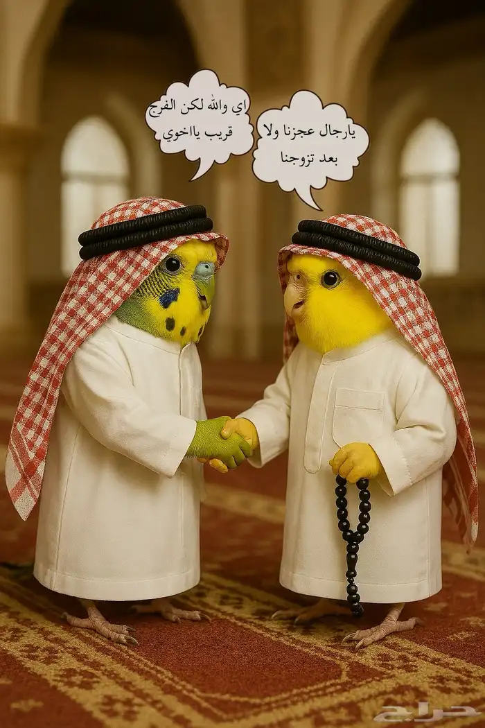 شيوخ عصافير قبيلة آل بادجي 2