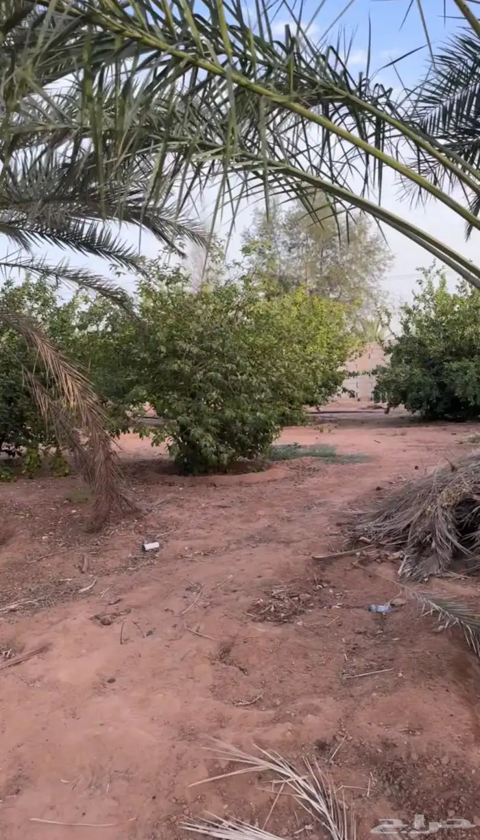استراحه للبيع بالقاعد الغربي 26