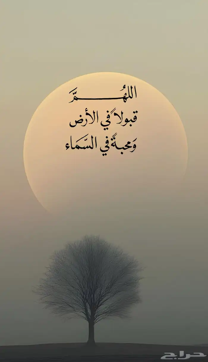 توفير جميع قطع غيار السيارات اليابانية الحديثة والنادرة 0