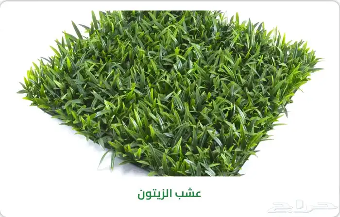 عشب صناعي توريد وتركيب مستودعات جمله الجمله أنحاء المملكة 8