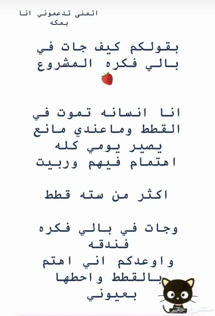 فندقة قطط 0