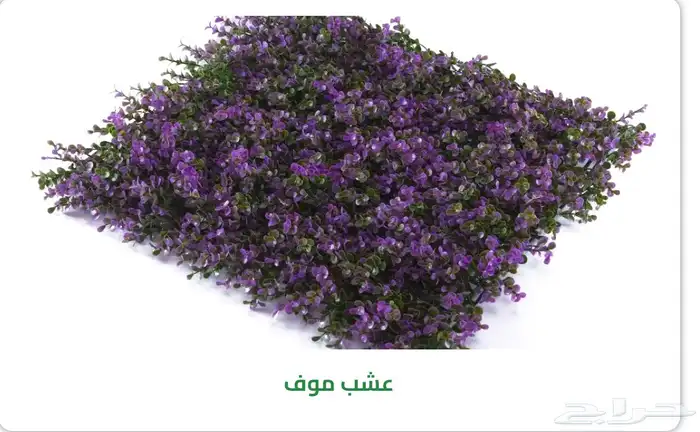 عشب صناعي توريد وتركيب مستودعات جمله الجمله أنحاء المملكة 13