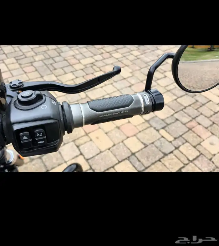 هارلي نايت ستار 2024 Harley-Davidson RH 975 NIGHTSTER 11