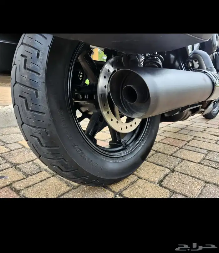 هارلي نايت ستار 2024 Harley-Davidson RH 975 NIGHTSTER 14