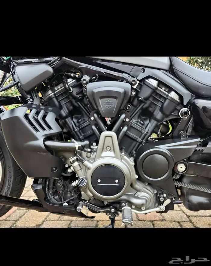 هارلي نايت ستار 2024 Harley-Davidson RH 975 NIGHTSTER 9