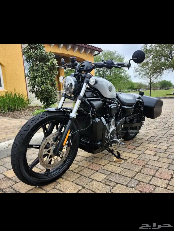 هارلي نايت ستار 2024 Harley-Davidson RH 975 NIGHTSTER 0