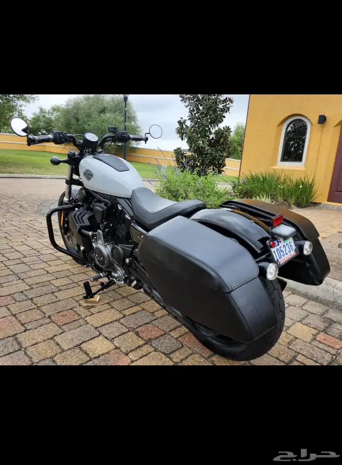 هارلي نايت ستار 2024 Harley-Davidson RH 975 NIGHTSTER 5