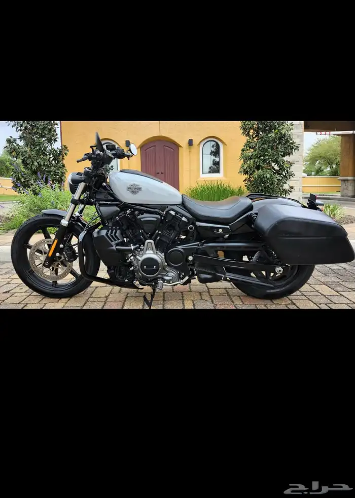هارلي نايت ستار 2024 Harley-Davidson RH 975 NIGHTSTER 3