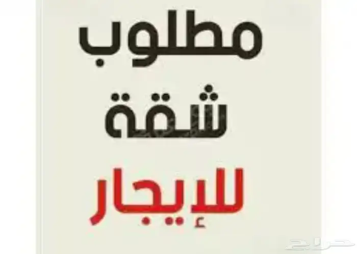 مطلوب ( ملححق )وسيع او ( شقة ) بسطح بلاطه 0