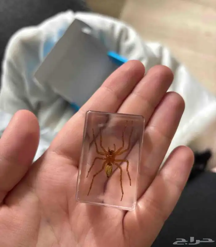 هدايا مميزه غريبة زين بها مكتبك فاجئ اصدقائك 2