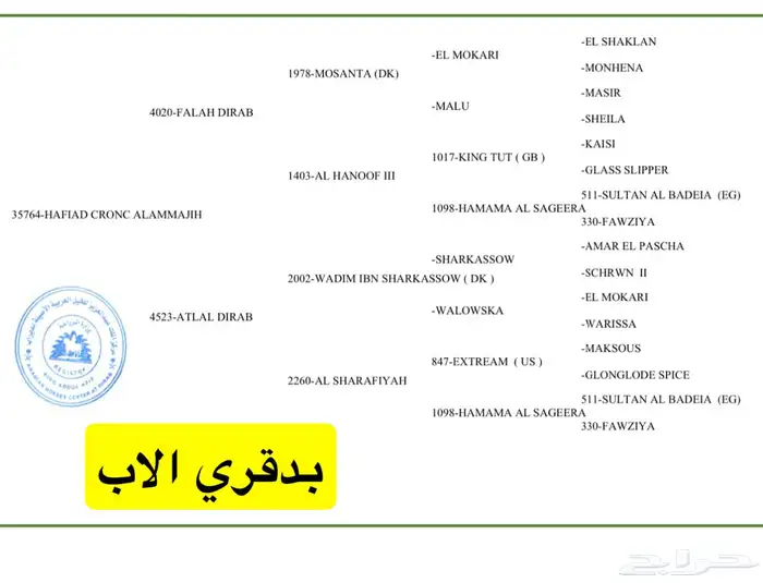 مهره واهو فاخره 3