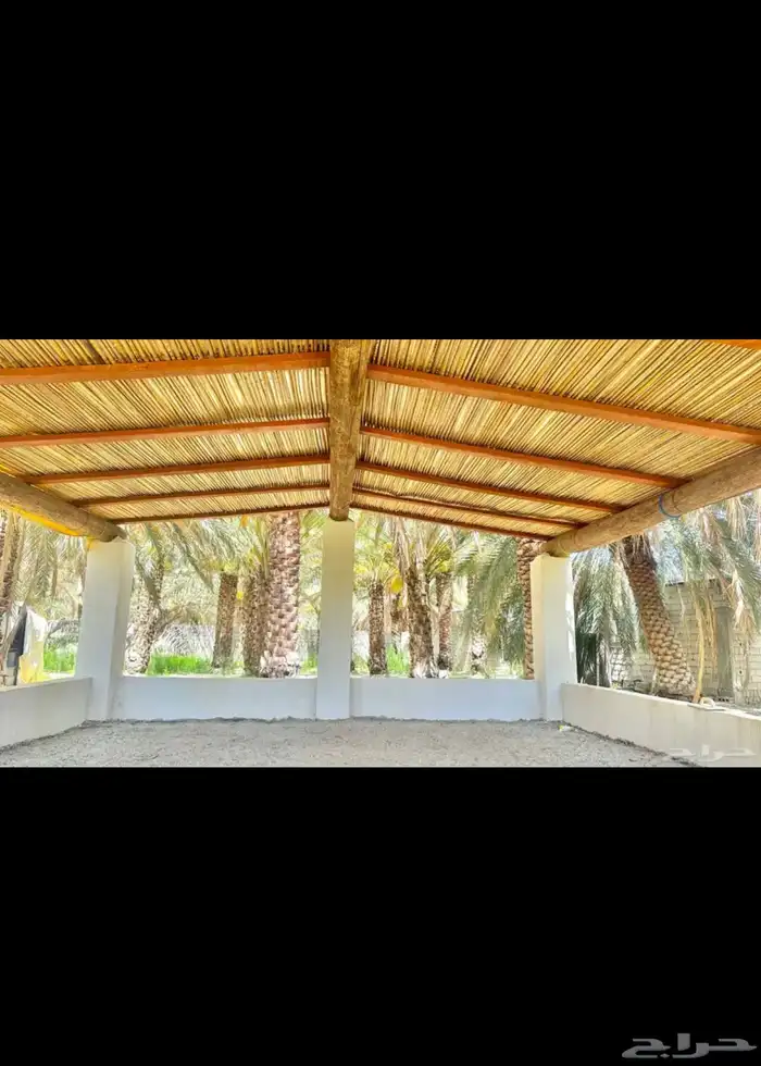 خزاز جريد سعف النخل للبيع مع التوصيل إلى جميع مناطق المملكة 2