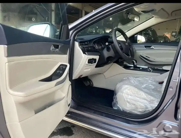 شيري اريزوا بروا 6 كمفورت 2024 اصفار ملوح 5