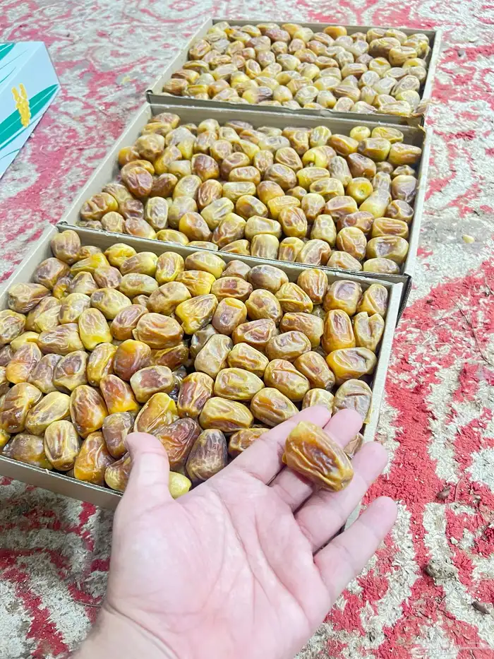 رطب سكري ملكي فاخر 0