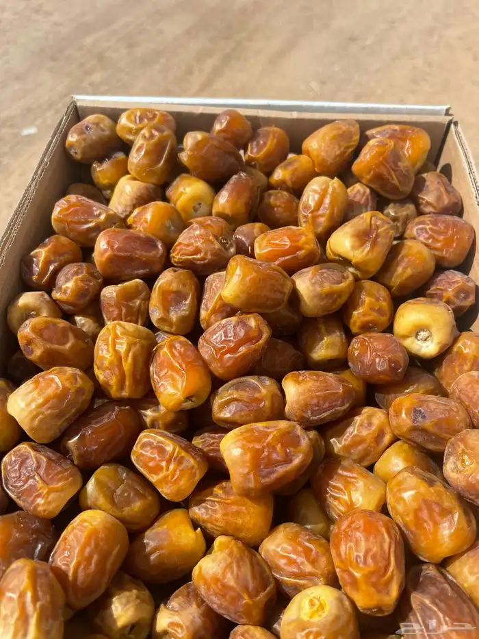 تمر جلكسي ملكي 1