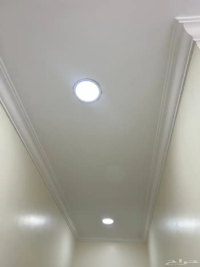 لمبات بيضاء 1