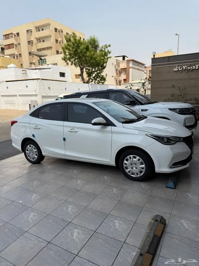 شنجان السفن 2024 6