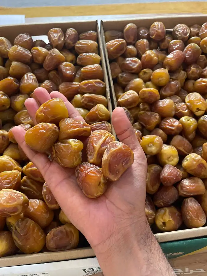 تمر جلكسي فاخر 0