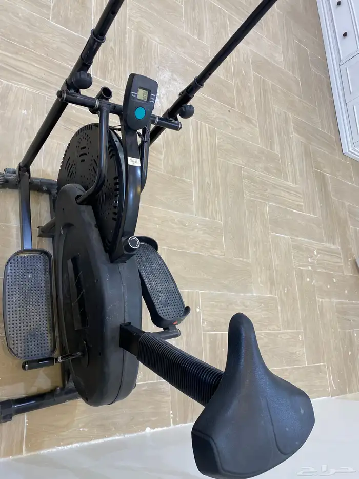 غزال رياضي 3