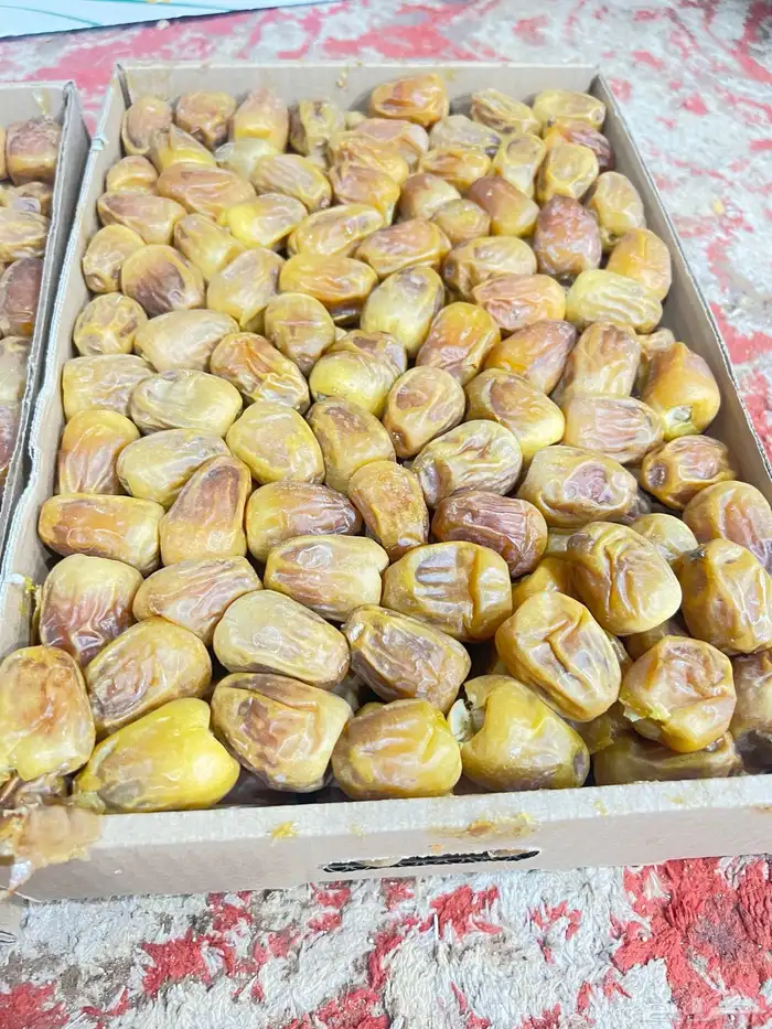 رطب سكري ملكي فاخر 4