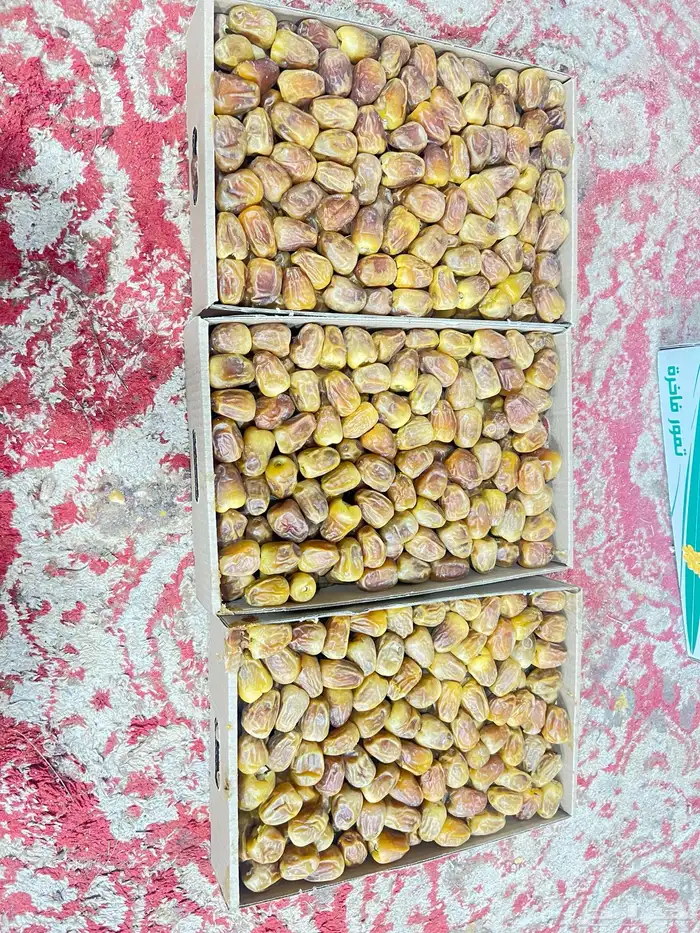 رطب سكري ملكي فاخر 3