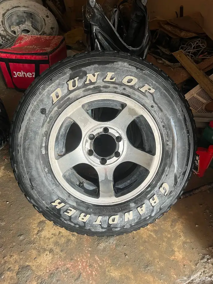 جنوط اخطبوط 0