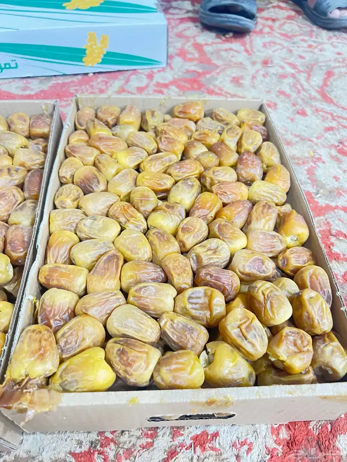 رطب سكري ملكي فاخر 5